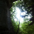 Clifty Wilderness